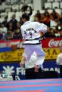 Stire din Sport : Taekwondo-show la "Dracula Open 2009"