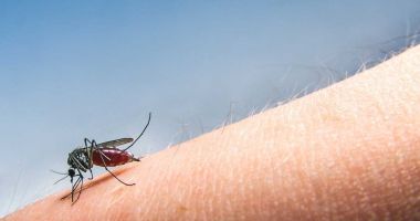 Stire din Social : Încă o persoană a murit din cauza infectării cu virusul West Nile