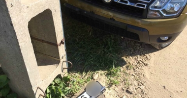 Terorizați de câinii vagabonzi! "Acum a fost vandalizată mașina, mâine poate fi mușcat un copil. Așteptăm o nouă tragedie?" - 2