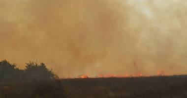 GALERIE FOTO. Incendiu devastator / Cherhanaua Vadu Pescarilor, rasă de pe fața pământului - 6