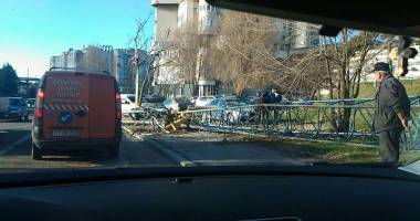 VIDEO. MACARA PRĂBUȘITĂ PE STRADA TRAIAN DIN CONSTANȚA. MAȘINI AVARIATE ȘI O VICTIMĂ! - 8