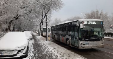 NINSOARE LA CONSTANȚA. ATENȚIONĂRI de la RUTIERĂ!