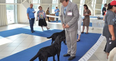Concurs chinologic internațional la Pavilionul Expozițional - 6