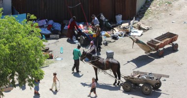 O șatră terorizează un întreg cartier al Constanței! PE EI NU-I MUTĂ NIMENI? - 5