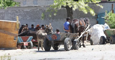 O șatră terorizează un întreg cartier al Constanței! PE EI NU-I MUTĂ NIMENI? - 3