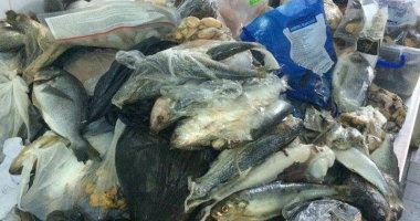 GALERIE FOTO ȘI VIDEO. E JALE! CE AU GĂSIT INSPECTORII OPC LA TERASELE DE PE LITORAL - 5