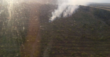 GALERIE FOTO-VIDEO / UPDATE. INCENDIU DEVASTATOR LA CRUCEA. Flăcările de 10 metri s-au răspândit în pădure - 6