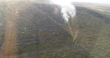 GALERIE FOTO-VIDEO / UPDATE. INCENDIU DEVASTATOR LA CRUCEA. Flăcările de 10 metri s-au răspândit în pădure - 4