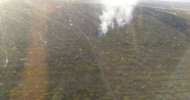 GALERIE FOTO-VIDEO / UPDATE. INCENDIU DEVASTATOR LA CRUCEA. Flăcările de 10 metri s-au răspândit în pădure - 5