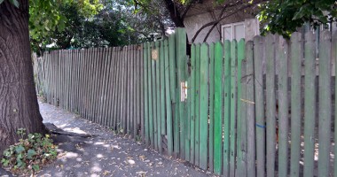 Terorizați de haita de câini "părăsiți" a vecinului - 3