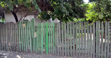 Terorizați de haita de câini "părăsiți" a vecinului - 4
