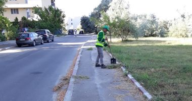 Stire din Social : Apel de la Primăria Constanța: "Nu mai aruncați gunoaie la întâmplare!"