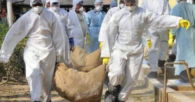 Stire din Actualitate : În alertă! Gripa aviară se extinde în principalele zone cu ferme avicole din Taiwan