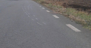 Galerie foto. GRAV ACCIDENT RUTIER LA CONSTANȚA. TREI VICTIME, după ce o mașină de Bulgaria s-a răsturnat de trei ori - 2