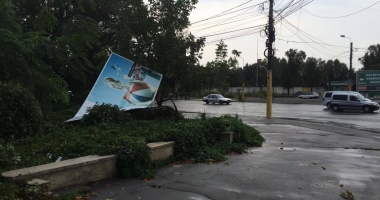 Galerie FOTO-VIDEO. PLOAIA A FĂCUT RAVAGII la CONSTANȚA! COPACI CĂZUȚI, STRĂZI INUNDATE ȘI TRAFIC PARALIZAT - 15