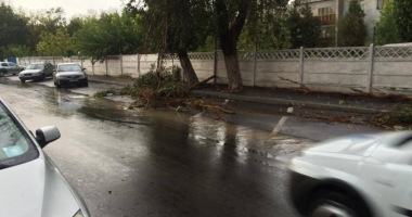 Galerie FOTO-VIDEO. PLOAIA A FĂCUT RAVAGII la CONSTANȚA! COPACI CĂZUȚI, STRĂZI INUNDATE ȘI TRAFIC PARALIZAT - 9
