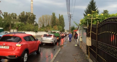 Galerie FOTO-VIDEO. PLOAIA A FĂCUT RAVAGII la CONSTANȚA! COPACI CĂZUȚI, STRĂZI INUNDATE ȘI TRAFIC PARALIZAT - 3