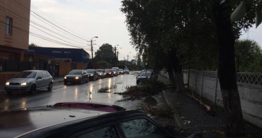 Galerie FOTO-VIDEO. PLOAIA A FĂCUT RAVAGII la CONSTANȚA! COPACI CĂZUȚI, STRĂZI INUNDATE ȘI TRAFIC PARALIZAT - 11