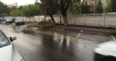Galerie FOTO-VIDEO. PLOAIA A FĂCUT RAVAGII la CONSTANȚA! COPACI CĂZUȚI, STRĂZI INUNDATE ȘI TRAFIC PARALIZAT - 8