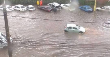 Galerie FOTO-VIDEO. PLOAIA A FĂCUT RAVAGII la CONSTANȚA! COPACI CĂZUȚI, STRĂZI INUNDATE ȘI TRAFIC PARALIZAT - 4