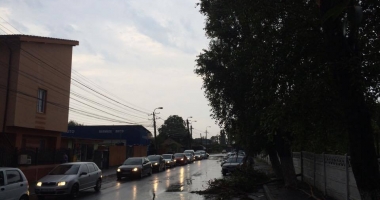 Galerie FOTO-VIDEO. PLOAIA A FĂCUT RAVAGII la CONSTANȚA! COPACI CĂZUȚI, STRĂZI INUNDATE ȘI TRAFIC PARALIZAT - 7