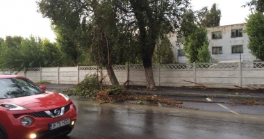 Galerie FOTO-VIDEO. PLOAIA A FĂCUT RAVAGII la CONSTANȚA! COPACI CĂZUȚI, STRĂZI INUNDATE ȘI TRAFIC PARALIZAT - 5