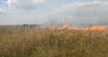 INCENDIU DEVASTATOR LA CONSTANȚA / Sute de hectare, cuprinse de flăcări - 2