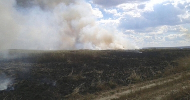 INCENDIU DEVASTATOR LA CONSTANȚA / Sute de hectare, cuprinse de flăcări - 3