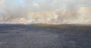 INCENDIU DEVASTATOR LA CONSTANȚA / Sute de hectare, cuprinse de flăcări - 4