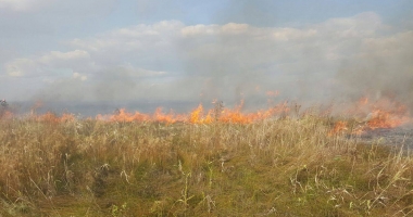 INCENDIU DEVASTATOR LA CONSTANȚA / Sute de hectare, cuprinse de flăcări - 6