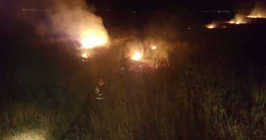 INCENDIU DEVASTATOR LA CONSTANȚA / Sute de hectare, cuprinse de flăcări - 5