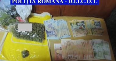 CULTURĂ DE CANABIS, DESCOPERITĂ ÎN CONSTANȚA! - 3