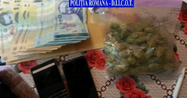 Grupare specializată în trafic de droguri, destructurată