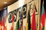 Raportul OSCE susține că "limbajul dur" a marcat campania electorală din România