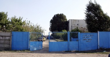 CE FACEM CU MAIDANEZII DIN CONSTANȚA? Ecarisajul Constanța, acuzat că "importă" câini din alte orașe - 3