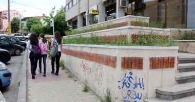 CONSTANȚA, năpădită de bălării! - 7