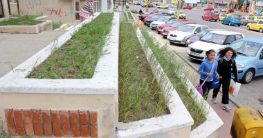 Stire din Cetățenești : CONSTANȚA, năpădită de bălării!