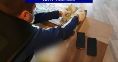 PERCHEZIȚII la Constanța. Pe urmele MAFIEI PERMISELOR FALSE, aduse tocmai din Africa! - 1