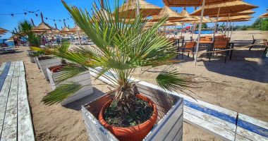 O vacanță de cinci stele, la Complexul Turistic "Perla Venusului" - 5