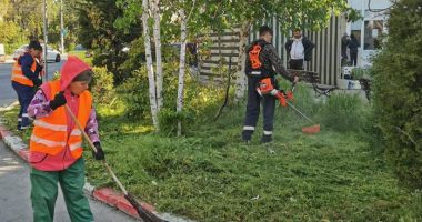 Acţiuni intensificate, pentru întreţinerea spaţiilor verzi din municipiul Constanţa