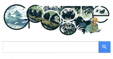 Stire din Social : Logo Google, dedicat zoologului american Dian Fossey