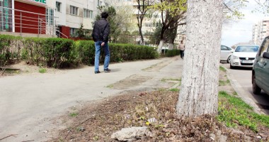 Stire din Cetățenești : Plimbare prin Constanța sau slalom printre rahați