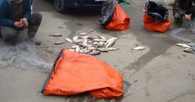 Stire din Eveniment : Braconieri prinși în flagrant de polițiști
