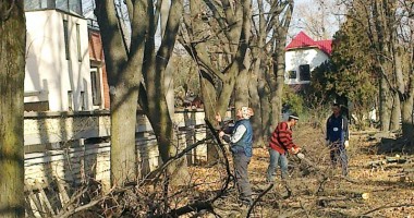 Stire din Cetățenești : Cum obții OK-ul pentru tăierea pomului uscat
