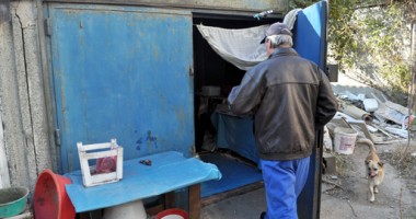 Stire din Cetățenești : Viață de câine în inima Constanței