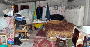 Viață de câine în inima Constanței - 3