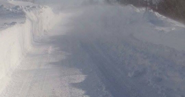 Viscol la Constanța / Sunt încă drumuri blocate! Nu plecați din sate! - 4