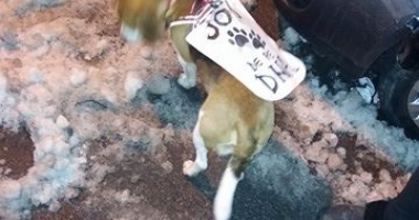 GALERIE FOTO-VIDEO / UPDATE. 5500 de "PUTORI" mărșăluiesc pe străzi. "Altă întrebare? Altă guvernare!" - 5