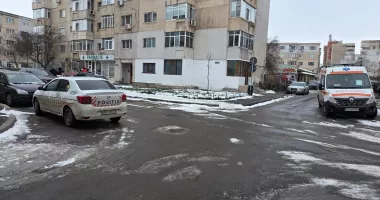 Crimă în cartierul Poarta 6! Un tânăr și-a omorât mama - 2