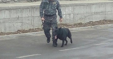 Galerie foto. "BOMBĂ ÎNTR-UN AUTOMOBIL DIN PARCAREA KAUFLAND!". Supermarketul, evacuat de urgență. UPDATE - 3